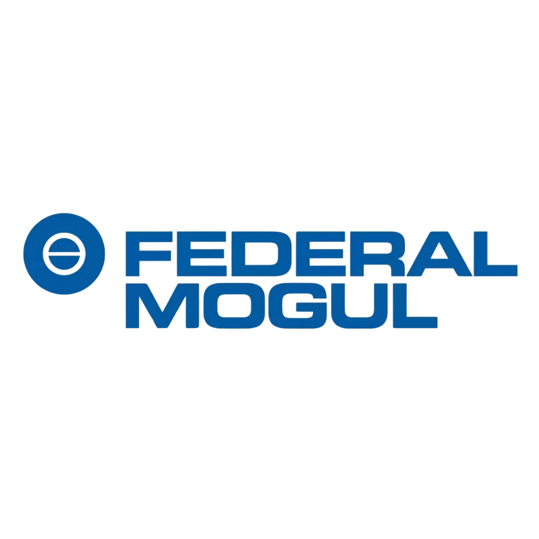 Federal Mogul